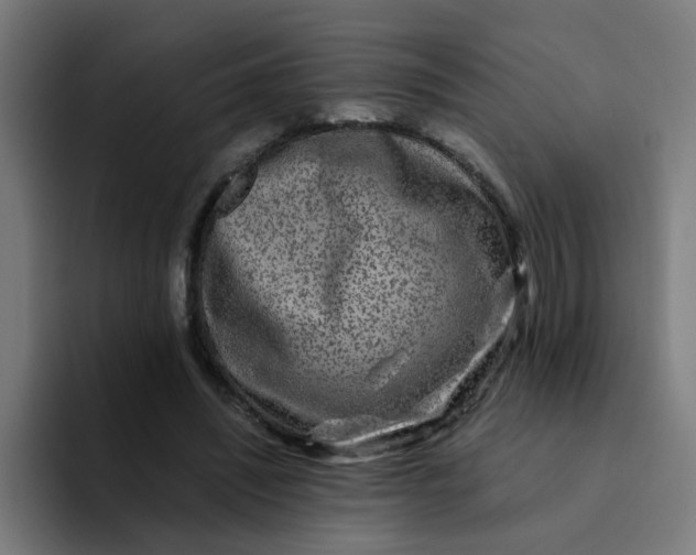 X0000094180444200711161731