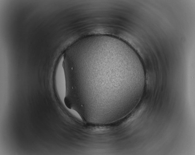 X0000094180445200711161731