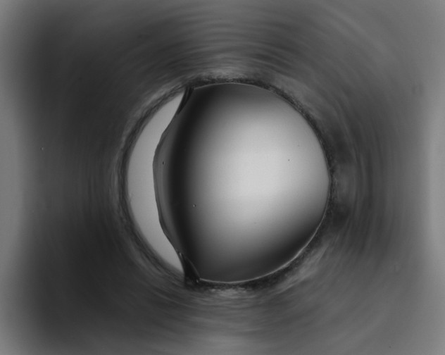 X0000094180446200711161731