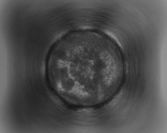 X0000094180447200711161731