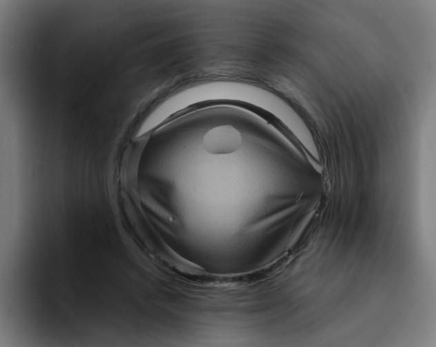 X0000094180448200711161731