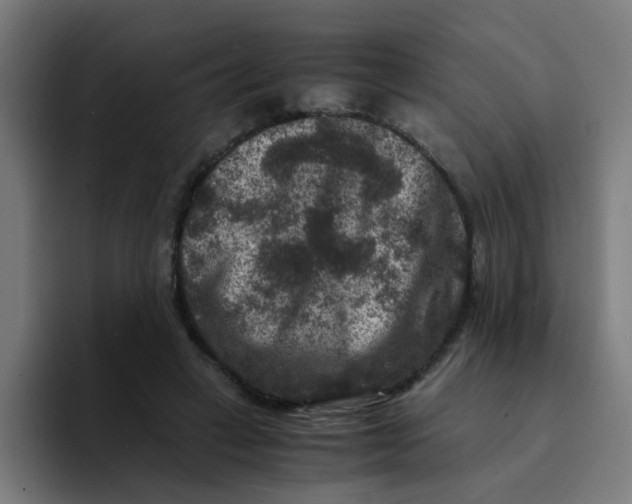 X0000094180449200711161731