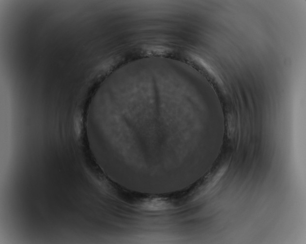 X0000094180451200711161731