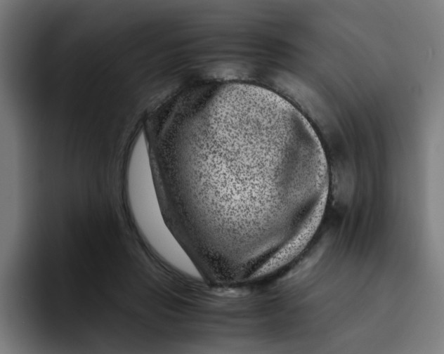 X0000094180453200711161731