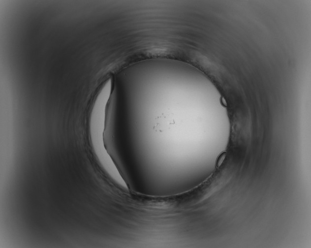 X0000094180454200711161731