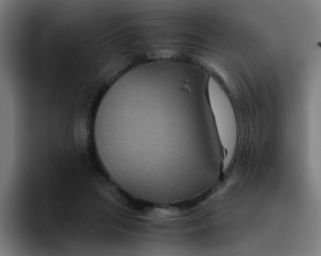 X0000094180455200711161731