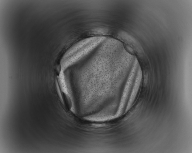 X0000094180457200711161731