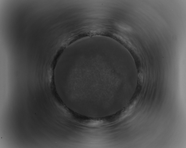 X0000094180458200711161731