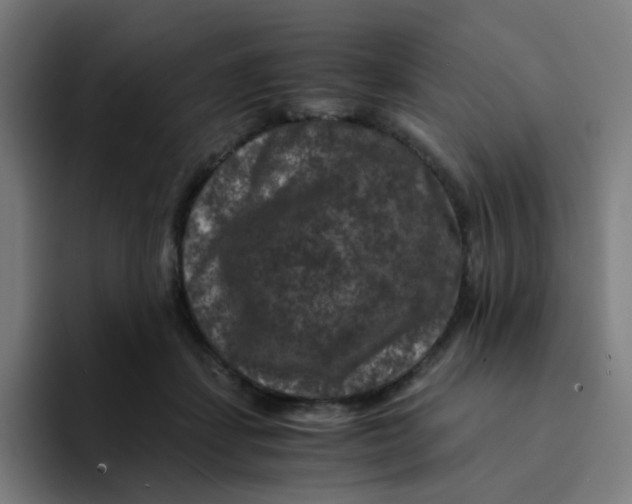 X0000094180459200711161731