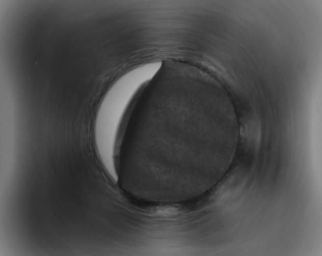 X0000094180462200711161731