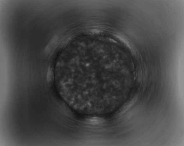 X0000094180467200711161731