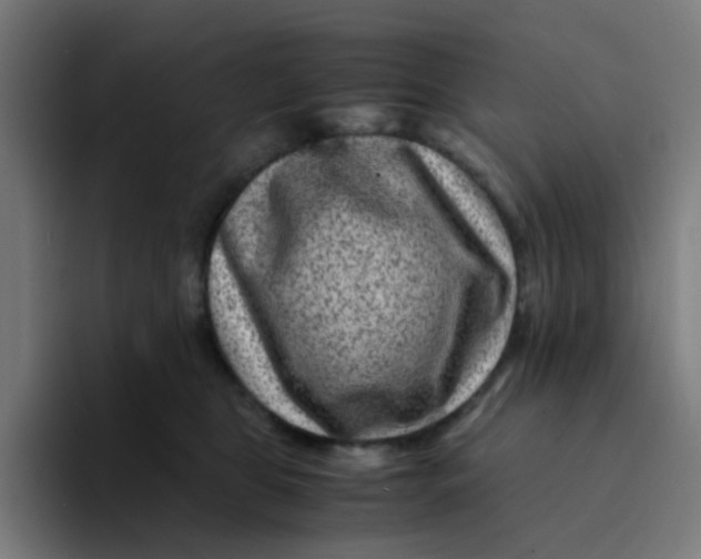 X0000094180469200711161731
