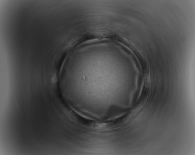X0000094180472200711161731