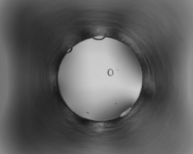 X0000094180473200711161731