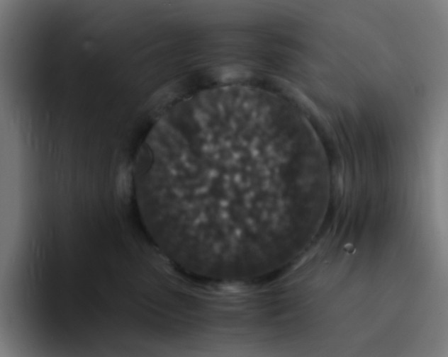 X0000094180475200711161731