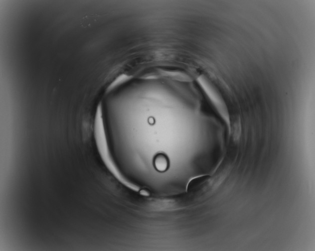 X0000094180476200711161731
