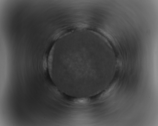 X0000094180479200711161731