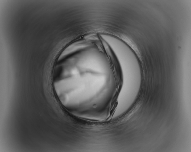 X0000094180481200711161731