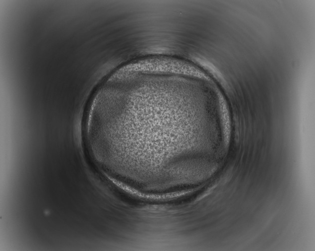 X0000094180482200711161731