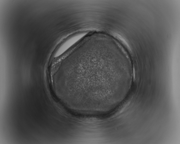 X0000094180483200711161731