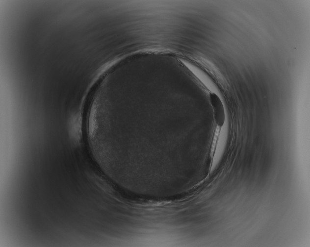 X0000094180484200711161731
