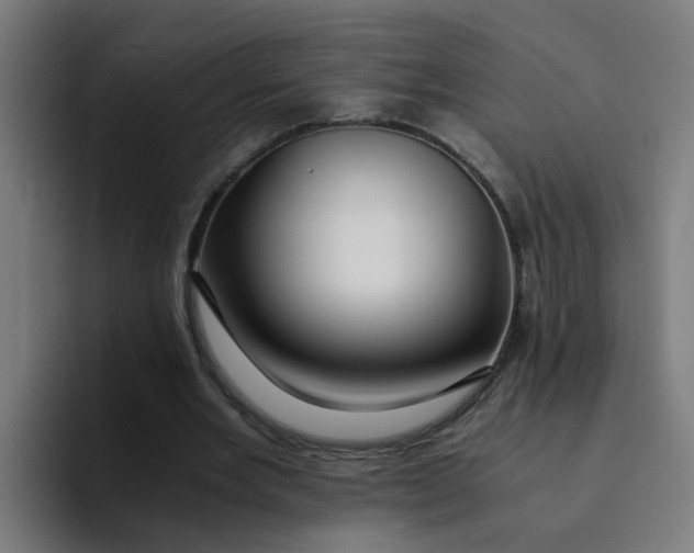 X0000094180485200711161731