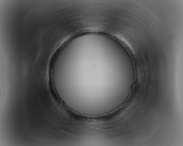 X0000094180486200711161731