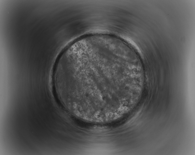 X0000094180487200711161731