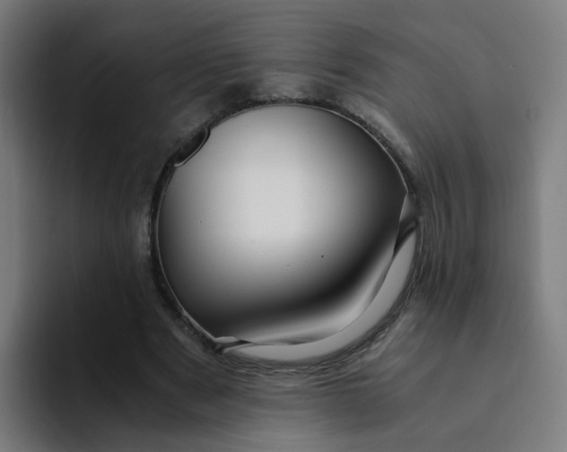 X0000094180489200711161731