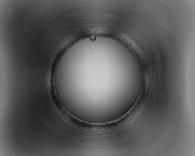 X0000094180490200711161731
