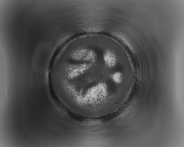 X0000094180491200711161731