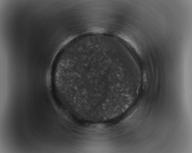 X0000094180492200711161731