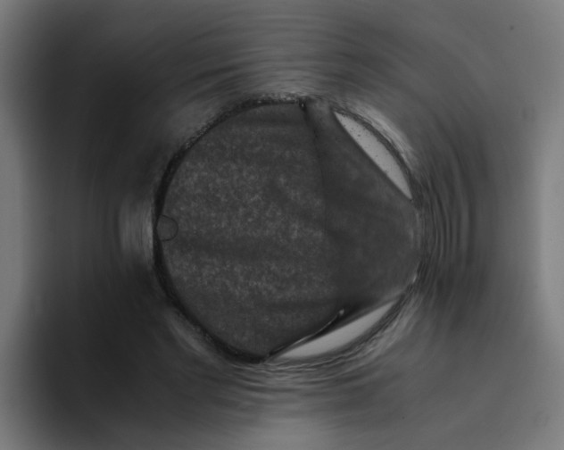 X0000094180493200711161731