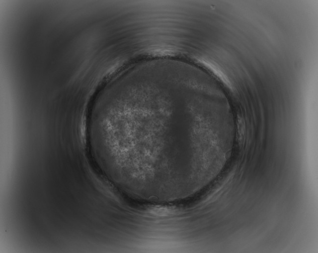 X0000094180494200711161731