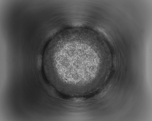 X0000094180495200711161731