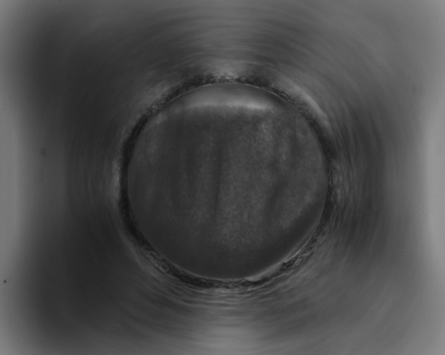 X0000094180496200711161731
