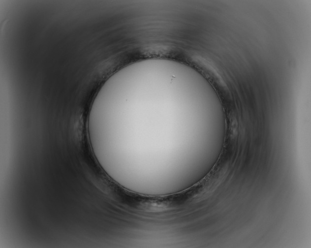 X0000094180498200711161731