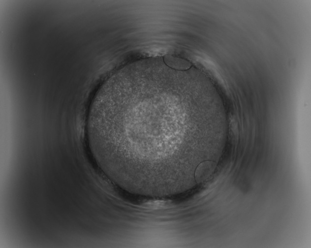 X0000094180499200711161731