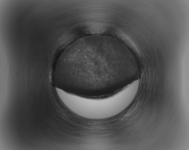 X0000094180501200711161731