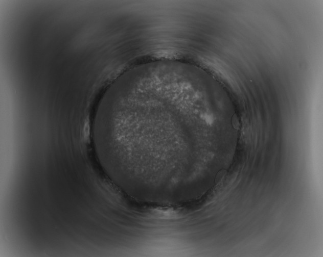 X0000094180502200711161731