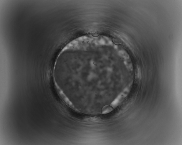 X0000094180503200711161731