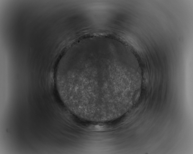 X0000094180506200711161731