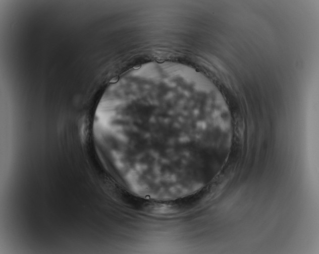X0000094180507200711161731