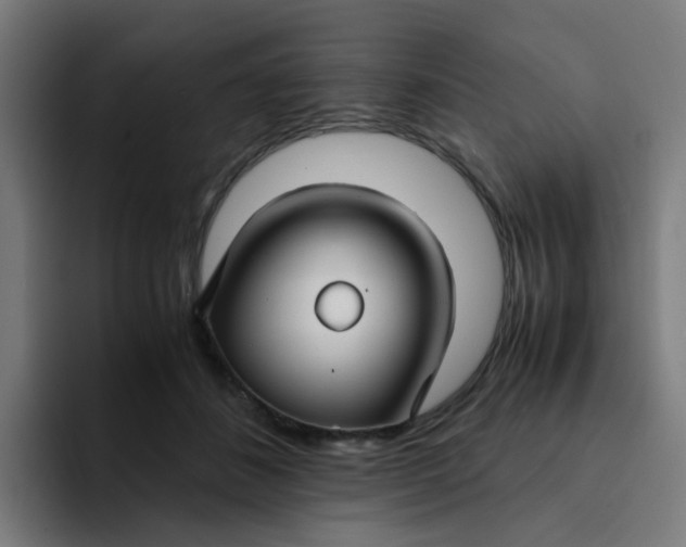 X0000094180508200711161731