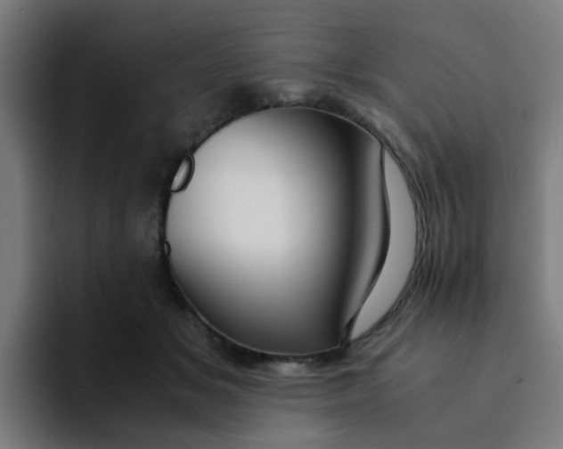 X0000094180509200711161731