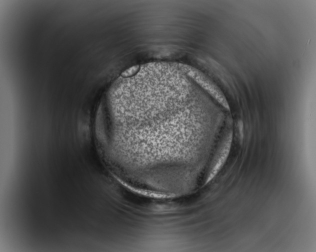 X0000094180510200711161730