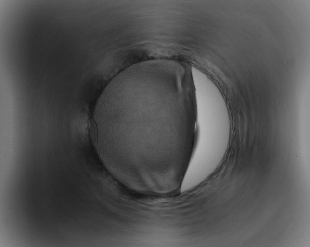 X0000094180513200711161730