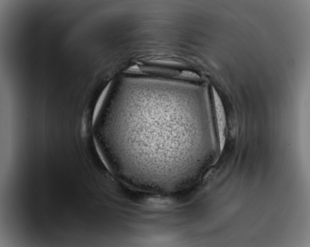 X0000094180515200711161730