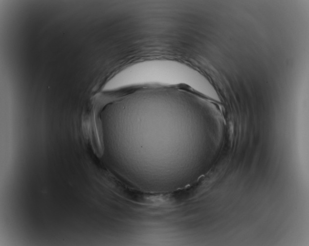 X0000094180516200711161730