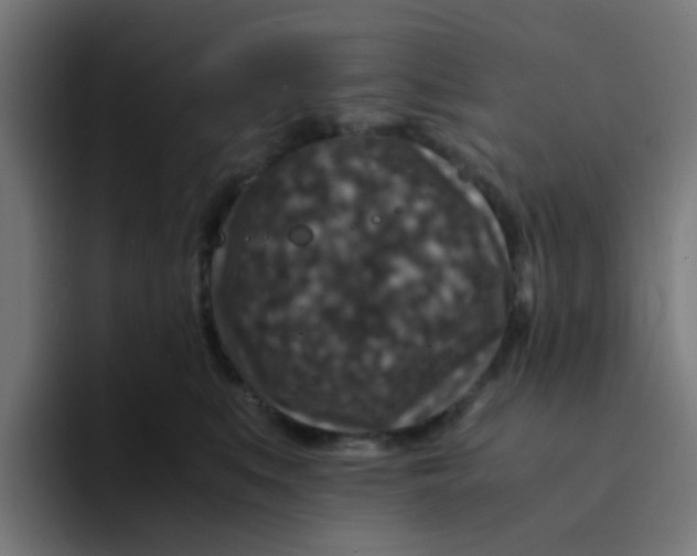 X0000094180519200711161730